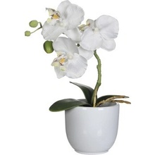 Umelá kvetina phalaenopsis 26 cm biela