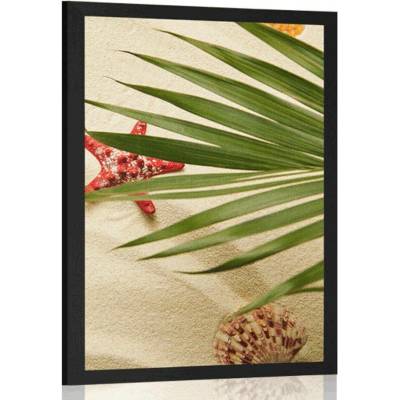 Plakát mušle pod palmovými listy - 40x60 black