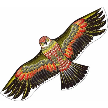 SPORT TEAM Flying kite