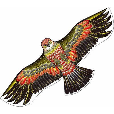 SPORT TEAM Flying kite