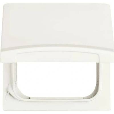 Busch-Jaeger 2CKA001710A2272