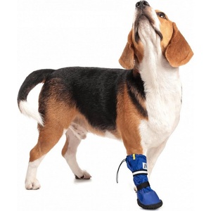 Medical pet shirts Mps Постоперативна обувка за куче m