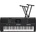 Yamaha PSR E483 SETS