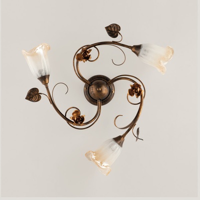 Light for home BL26-PL3-BR