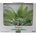 TETRA Plantastics Amazon Sword Plant - изкуствено растение - размер M