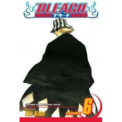 Bleach, Vol. 6