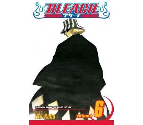 Bleach, Vol. 6