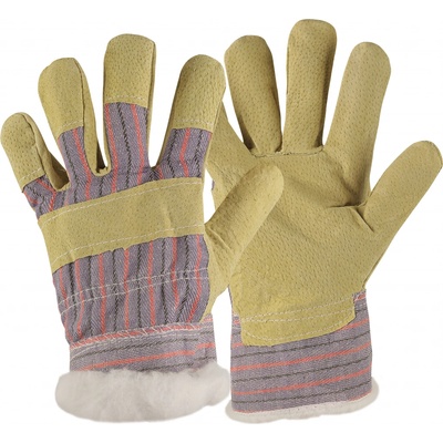 CXS ZORO WINTER