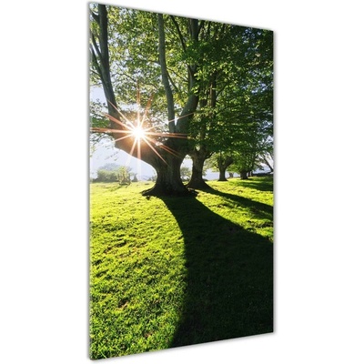 Vertikálny fotoobraz na skle Park 50x100 cm
