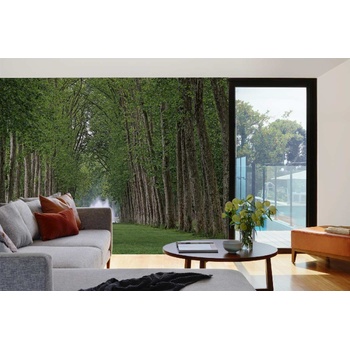 DIMEX ART s. r. o Самозалепваща се флизелинова фототапета версайски парк 375 x 250 см