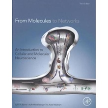 From Molecules to Networks - Byrne, John H.