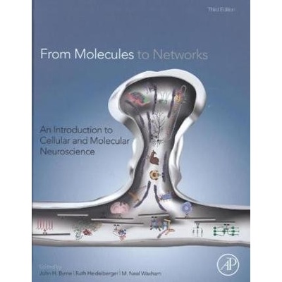 From Molecules to Networks - Byrne, John H.