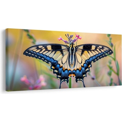 Obraz pestrobarevný motýl v přírodě - 80x40