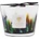 Baobab Collection Rainforest Amazonia Ароматна свещ 10 см (MAX10RFA)