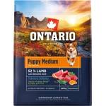 ONTARIO Онтарио Папий Медиум Агне и Кафяв Ориз 2, 25 кг