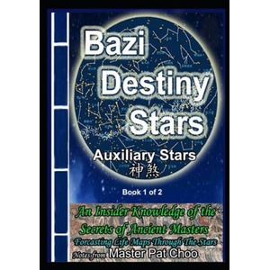 Bazi Destiny Stars | Master Patrick Choo (ISBN: 9798322374169)