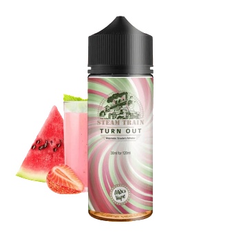 Steam Train - Turn Out 24/120ml
