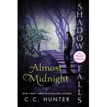 Almost Midnight - Hunter C. C.