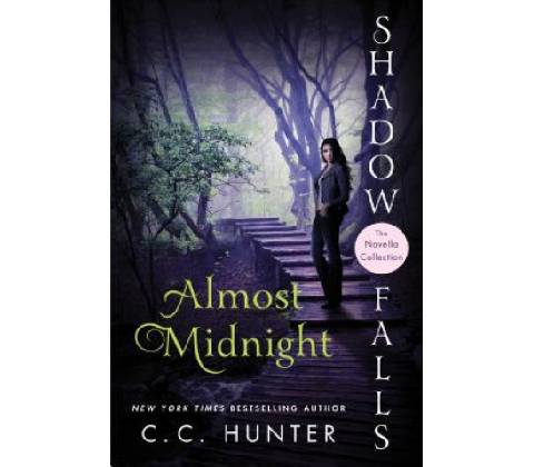 Almost Midnight - Hunter C. C.