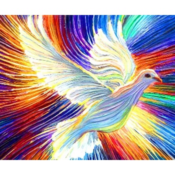 Image 1 of Гълъб 40/30 см