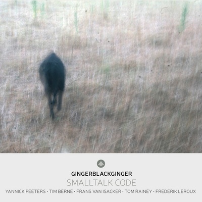 Yannick Peeters, SMALLTALK CODE, CD