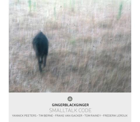 Yannick Peeters, SMALLTALK CODE, CD