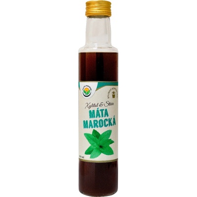 Salvia Paradise Mäta marocká bylinný koncentrát 250 ml