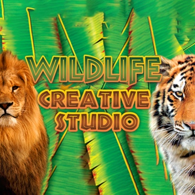 The Wildlife Creative Studio