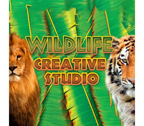 The Wildlife Creative Studio