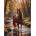 Norimpex - Puzzle Diamant painting: Horse in a forest stream 30x40cm - 1 - 39 piese