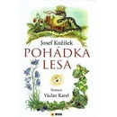 Pohádka lesa