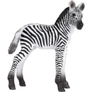 Animal Planet Zebra mláďa