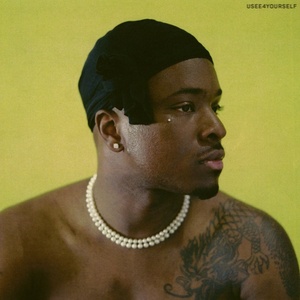 Warner IDK: Usee4yourself - Vinyl (LP) (057321)