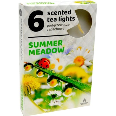 Admit Summer Meadow 6 ks