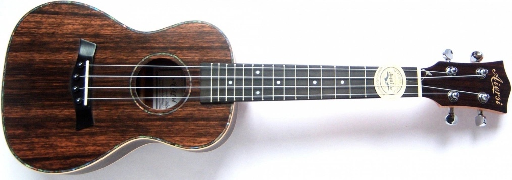 AIERSI SU204