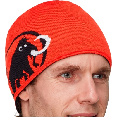 Mammut Зимна шапка (beanie) Mammut Mammut Logo Beanie - Black II - размер One Size (204-1779-2211)