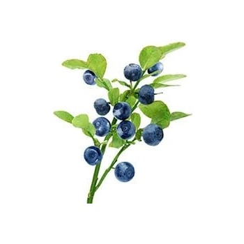 Sedmokráska ovocný sirup Čučoriedka 1 l