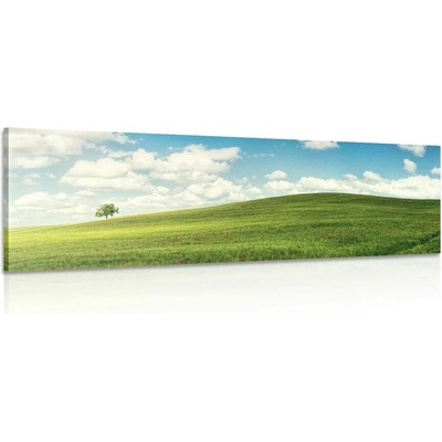 Obraz nádherný den na louce - 135x45