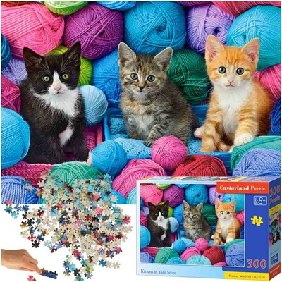 Castorland Kittens in yarn store 300 dielov