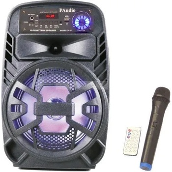 Image 1 of paudio PAudio-80