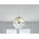 Globo 15857