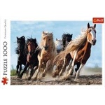 Trefl Puzzle - 1000 Galloping horses / 500 px 10446