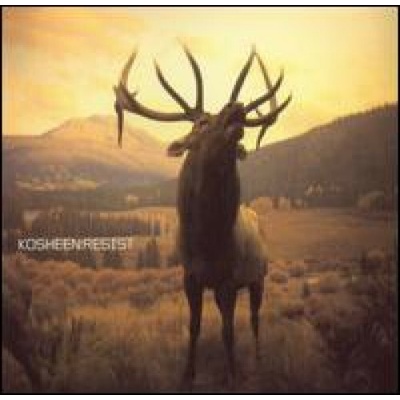 Kosheen - Resist CD