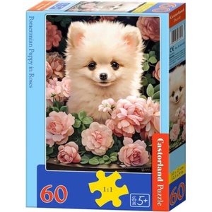 Castorland Пъзел Castorland от 60 части - Померан сред рози (B-066261-1) - ozone