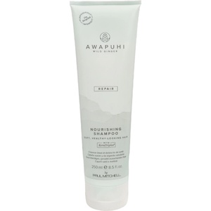 Paul Mitchell Awapuhi Wild Ginger Repair Nourishing Shampoo 250 ml