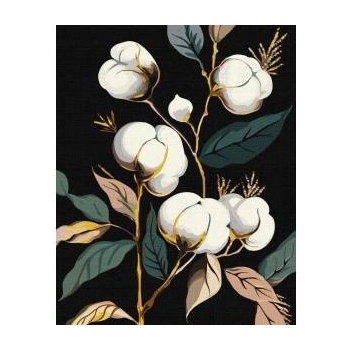 Ideyka Painting by numbers - Snieznobiala cotton 40x50