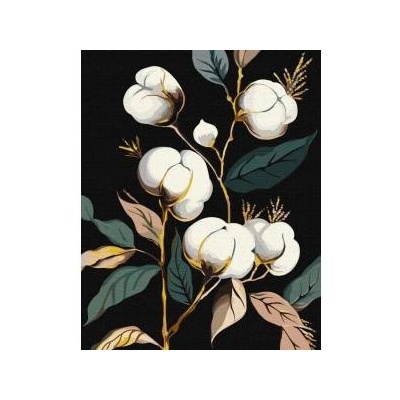 Ideyka Painting by numbers - Snieznobiala cotton 40x50