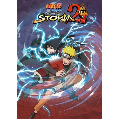 BANDAI NAMCO Entertainment Naruto Shippuden Ultimate Ninja Storm 2 (PC)