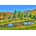 Bluebird Puzzle - Puzzle Stowe, Vermont, USA 1000 - 1 000 piese