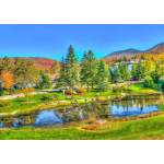 Bluebird Puzzle - Puzzle Stowe, Vermont, USA 1000 - 1 000 piese